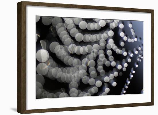 Spider Web Reflection of Water Drops Against-null-Framed Photographic Print