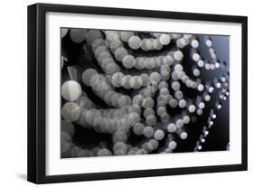 Spider Web Reflection of Water Drops Against-null-Framed Photographic Print