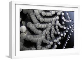 Spider Web Reflection of Water Drops Against-null-Framed Photographic Print