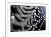 Spider Web Reflection of Water Drops Against-null-Framed Photographic Print