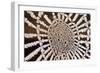 Spider Web-null-Framed Photographic Print