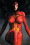 Spider-Woman No.1 Cover: Spider Woman-Alex Maleev-Lamina Framed Poster