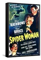 Spider Woman-null-Framed Stretched Canvas