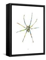 Spider-Alexis Marcou-Framed Stretched Canvas