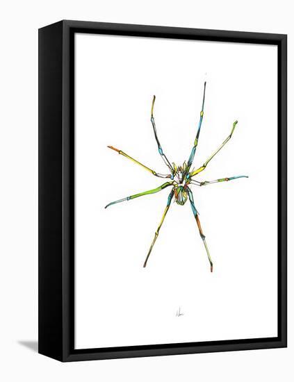 Spider-Alexis Marcou-Framed Stretched Canvas