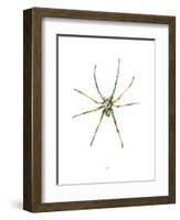 Spider-Alexis Marcou-Framed Art Print