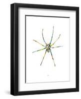 Spider-Alexis Marcou-Framed Art Print