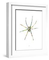 Spider-Alexis Marcou-Framed Art Print