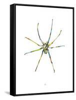 Spider-Alexis Marcou-Framed Stretched Canvas