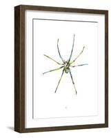 Spider-Alexis Marcou-Framed Art Print