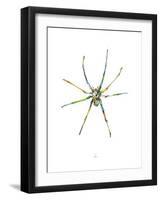 Spider-Alexis Marcou-Framed Art Print