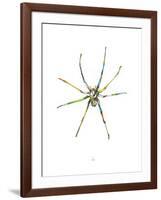 Spider-Alexis Marcou-Framed Art Print