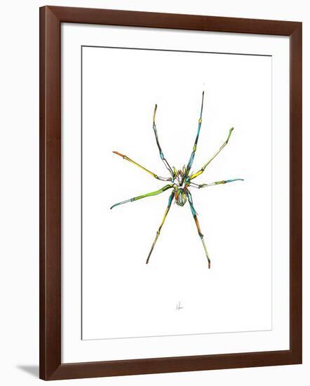 Spider-Alexis Marcou-Framed Art Print