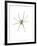 Spider-Alexis Marcou-Framed Art Print