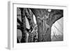 Spiderman-Nicolás Merino-Framed Photographic Print