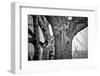 Spiderman-Nicolás Merino-Framed Photographic Print