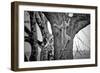 Spiderman-Nicolás Merino-Framed Premium Photographic Print