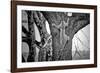 Spiderman-Nicolás Merino-Framed Photographic Print