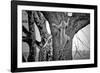 Spiderman-Nicolás Merino-Framed Photographic Print