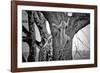 Spiderman-Nicolás Merino-Framed Photographic Print