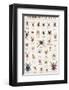 Spiders and Arachnids-null-Framed Premium Giclee Print