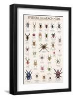 Spiders and Arachnids-null-Framed Art Print