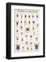 Spiders and Arachnids-null-Framed Art Print