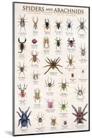 Spiders and Arachnids-null-Mounted Art Print