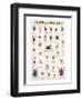 Spiders and Arachnids-null-Framed Art Print