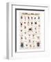 Spiders and Arachnids-null-Framed Art Print