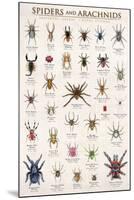 Spiders & Arachnids-null-Mounted Poster