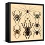 Spiders-Alena Kozlova-Framed Stretched Canvas
