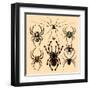 Spiders-Alena Kozlova-Framed Art Print