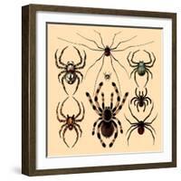 Spiders-Alena Kozlova-Framed Art Print