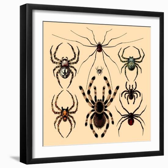 Spiders-Alena Kozlova-Framed Art Print