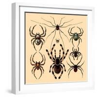 Spiders-Alena Kozlova-Framed Art Print