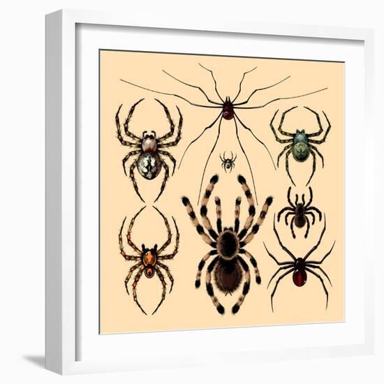 Spiders-Alena Kozlova-Framed Art Print