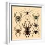 Spiders-Alena Kozlova-Framed Art Print