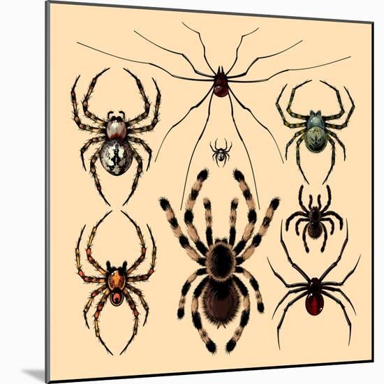 Spiders-Alena Kozlova-Mounted Art Print