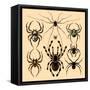 Spiders-Alena Kozlova-Framed Stretched Canvas