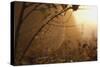 Spiderweb at Sunrise-Craig Tuttle-Stretched Canvas