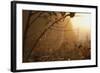 Spiderweb at Sunrise-Craig Tuttle-Framed Photographic Print