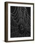 Spiderweb Covered with Dew, Glacier National Park, Montana, United States of America, North America-James Hager-Framed Photographic Print