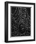 Spiderweb Covered with Dew, Glacier National Park, Montana, United States of America, North America-James Hager-Framed Photographic Print