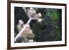 Spiderweb II-Logan Thomas-Framed Photographic Print