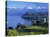 Spiez, Lake Thun, Berner Oberland, Switzerland-Peter Adams-Stretched Canvas