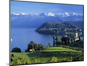 Spiez, Lake Thun, Berner Oberland, Switzerland-Peter Adams-Mounted Photographic Print