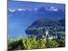 Spiez, Lake Thun, Switzerland-Peter Adams-Mounted Photographic Print