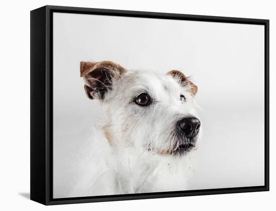 Spike Zuck-Susan Sabo-Framed Stretched Canvas