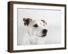 Spike Zuck-Susan Sabo-Framed Photographic Print